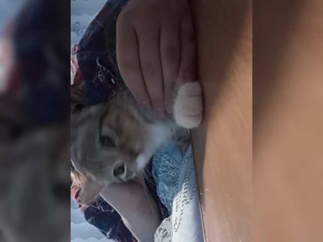 Скріншоти передачі 8Lilith8