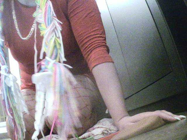 Скріншоти передачі Alice4U