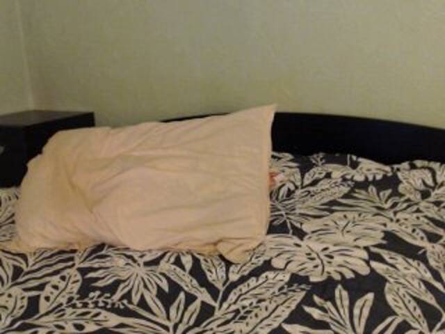 Скріншоти передачі Alissia_Kiss