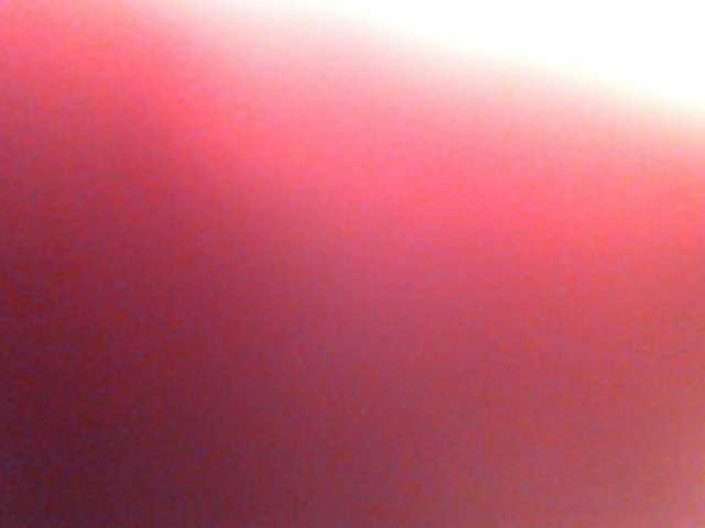 Скріншоти передачі anawild4you