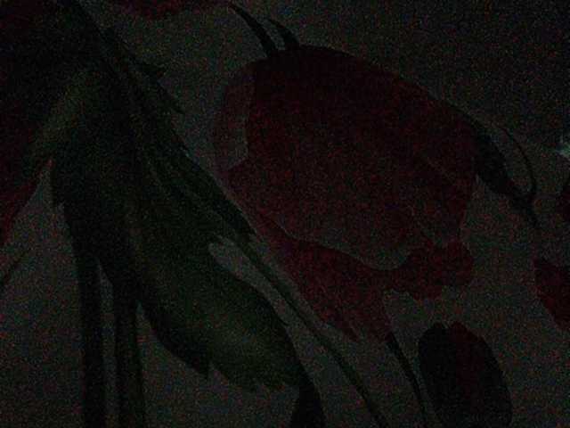 Скріншоти передачі Rosalia_____