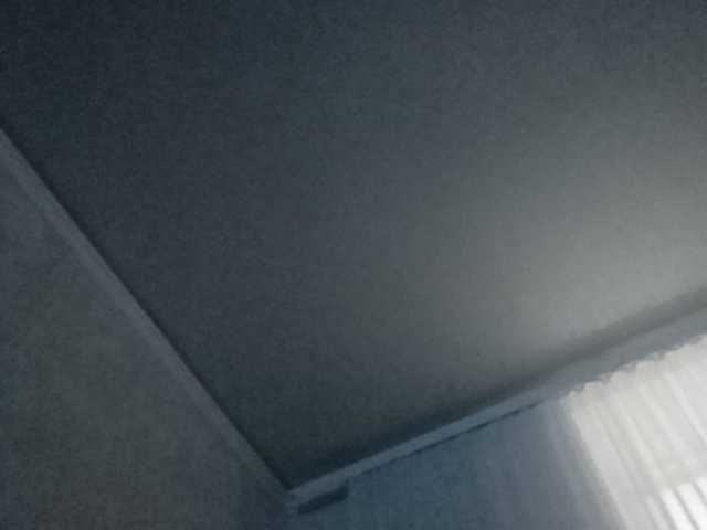 Скріншоти передачі b1ToorBoPussy