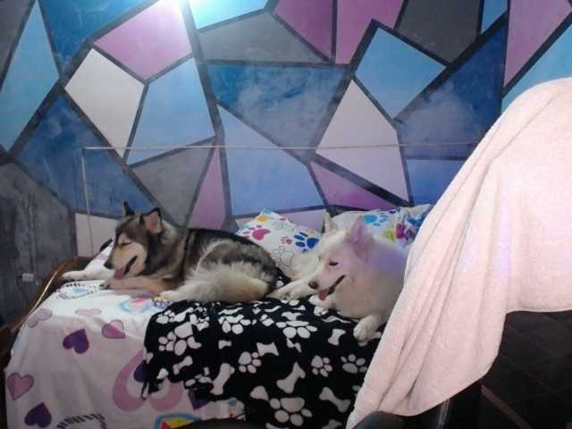 Скріншоти передачі beautifulchubbyqueen