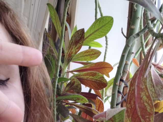 Фото профілю Crazycouple8