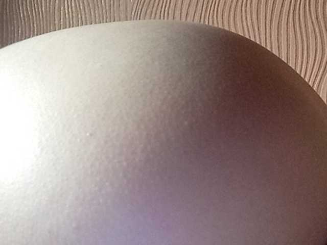 Скріншоти передачі Darinaray777