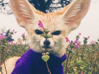 Еротичний відеочат Anecka31