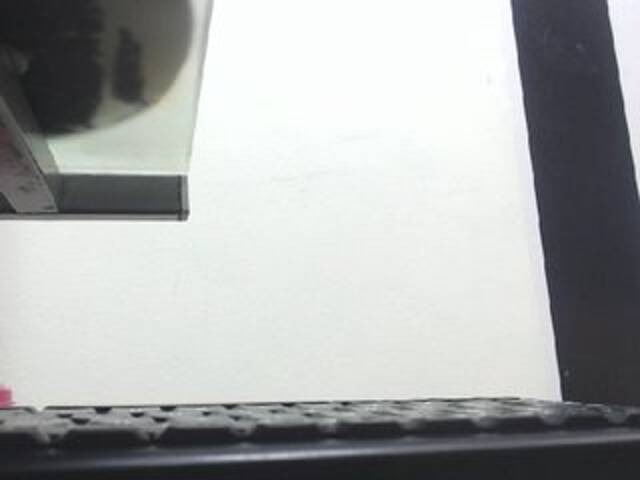 Скріншоти передачі Dulceik