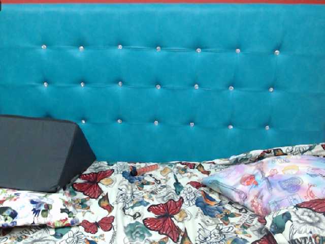 Скріншоти передачі Ellacam