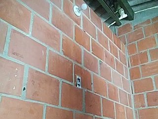 Еротичний відеочат EmiliAddams