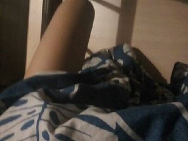 Скріншоти передачі Flamingo86