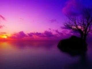 Еротичний відеочат florabella