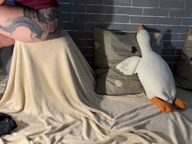 Скріншоти передачі Fox-Paws