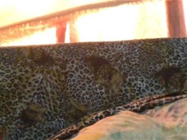 Скріншоти передачі Grappa01