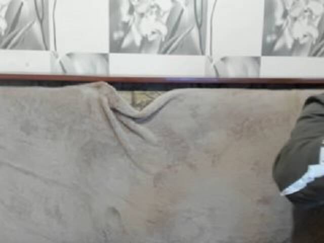 Скріншоти передачі sexyit09