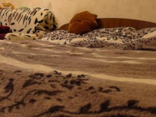 Скріншоти передачі LisBlackVlady