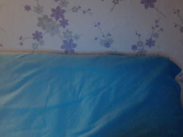 Скріншоти передачі littledevi