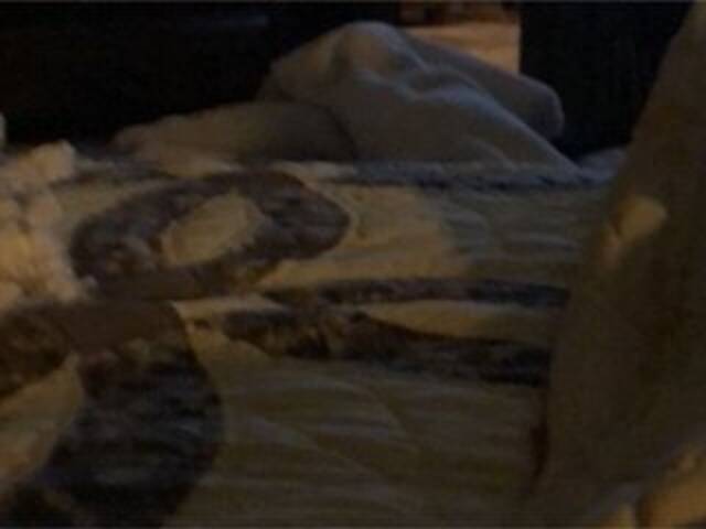 Скріншоти передачі Littleshorty