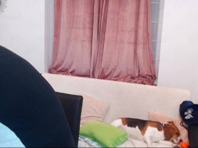 Скріншоти передачі MaxGACouple