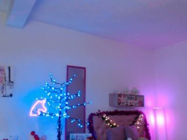 Скріншоти передачі Miss-Bonnie