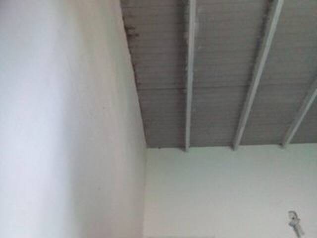 Скріншоти передачі misscute