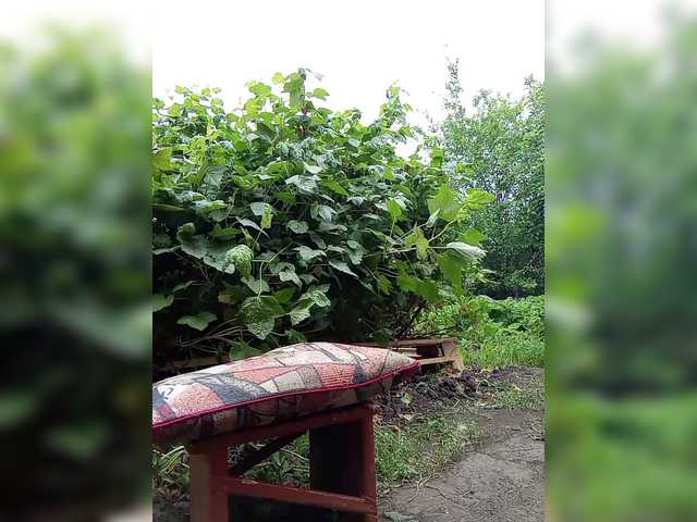 Скріншоти передачі Natka35