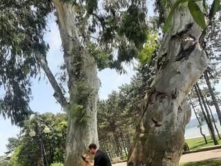 Еротичний відеочат PUPI-DEL-REY