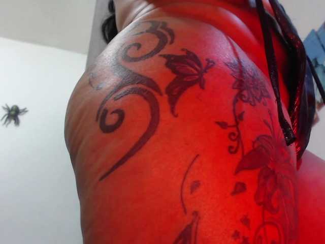 Скріншоти передачі seleneh