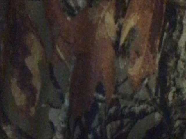 Скріншоти передачі shawtyyredd