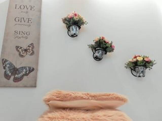 Скріншоти передачі small-bella