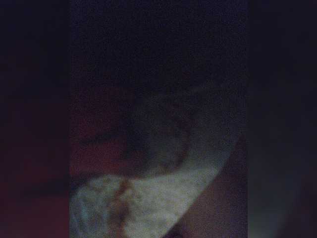 Скріншоти передачі small-cat