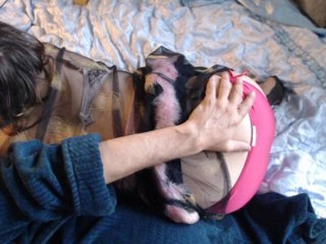 Скріншоти передачі Masha_Ivanova