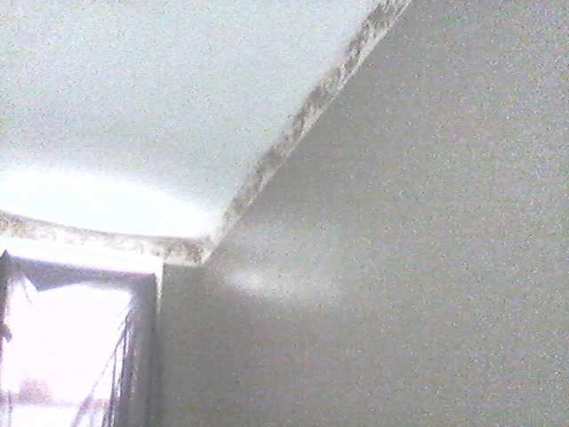 Скріншоти передачі supa19kitty