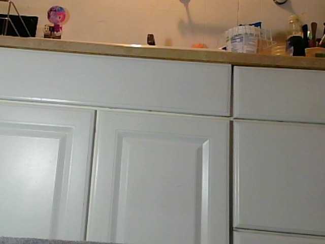 Скріншоти передачі GinaBooty