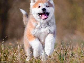 Еротичний відеочат Val309a