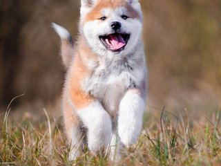 Еротичний відеочат Val309a