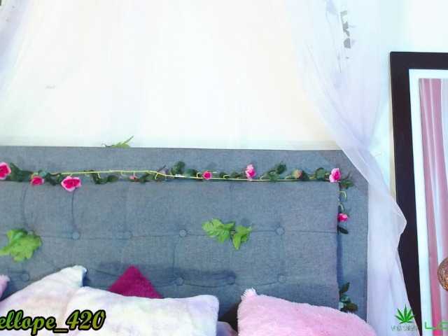 Скріншоти передачі vanelope-ldv