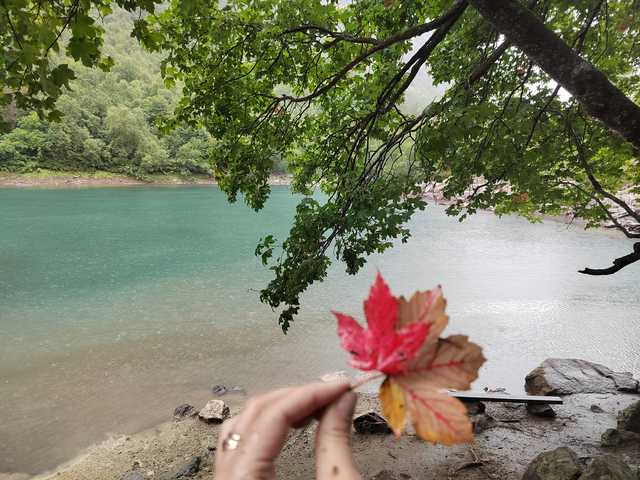 Фото профілю _GoodGirl_