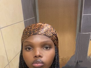 Еротичний відеочат Wildcata