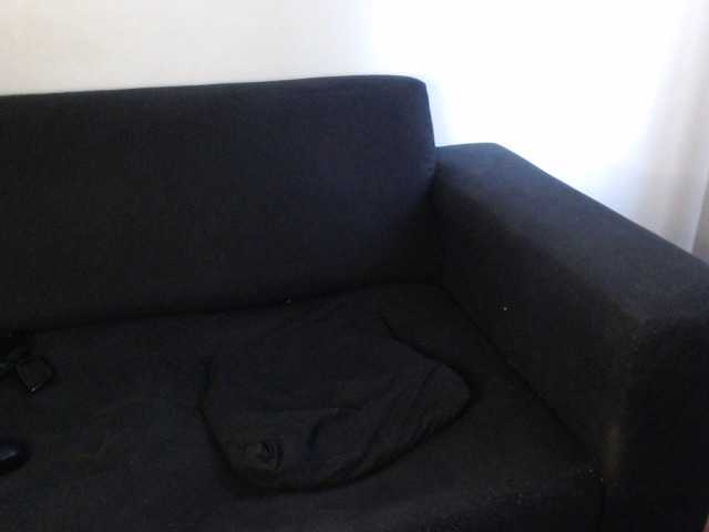 Скріншоти передачі WildPetal963