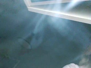 Еротичний відеочат yuliia_3003