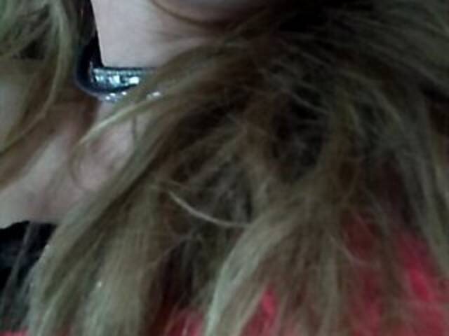 Скріншоти передачі zinabelweb